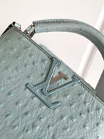 لوي فيتون Capucines مقاس 21cm