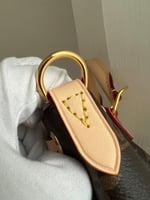 لوي فيتون حقيبة الظهر Excursion PM