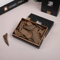 عود مروكي طبيعي سوبر وسوبر مرتفع