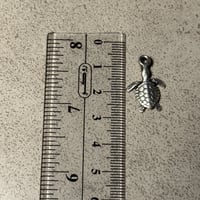 تعليقة سلحفاة