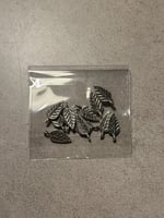 تعليقات ورق شجر