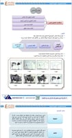 ملزمة الرخصة المهنية التربية الفنية pdf