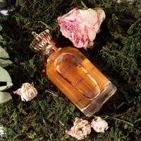 عطر فلورا من ستيفانو 100مل