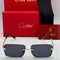 نظارة كارتير معدني أسود و ذهبي