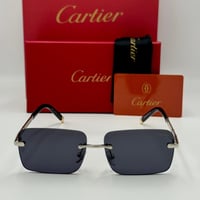 نظارة كارتير معدني أسود و فضي