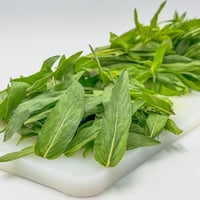 حبق مقطف - عبوة