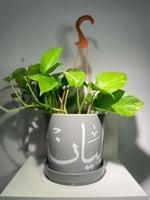 اصيص نبات بالاسم