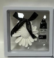 فواحات حجر مع معطر ١٢ قطعه