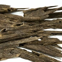 عود هندي نجلاند