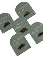 كرت توزيعات العيد