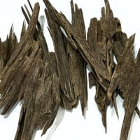 عود هندي نجلاند