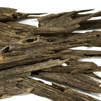 عينة عود هندي نجلاند