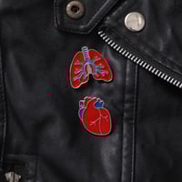 بروش Lungs,Cardio