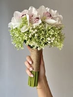 مسكة الخيال