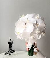 مسكة الأوركيد