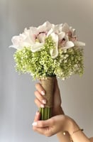 مسكة الخيال