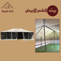 بدون زينة