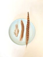 ريش طبيعي لألعاب القطط