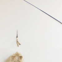 ريش طبيعي لألعاب القطط