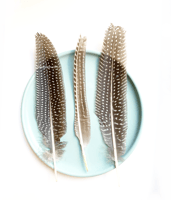 ريش طبيعي لألعاب القطط