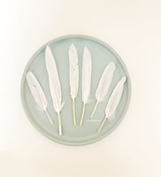 ريش طبيعي لألعاب القطط