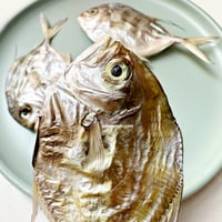 سمك بوني مجفف