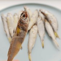 أنشوفة كاملة مجففة