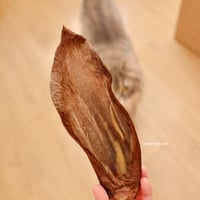 أذن مواشي مجففة