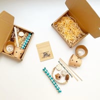 صندوق بحث للطيور