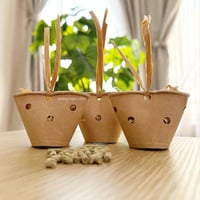 لعبة طيور صغيرة - الكوب