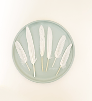 ريش طبيعي لألعاب القطط