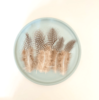 ريش طبيعي لألعاب القطط