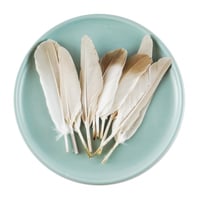 ريش طبيعي لألعاب القطط