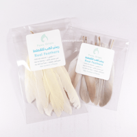 ريش طبيعي لألعاب القطط