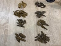 ذواقة الدهيم للعود