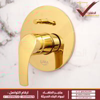 وجه مسكة خلاط مدفون موديل جروهي يوروسمارت خطين ذهب...