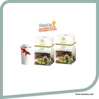 عرض العودة إلى المدارس