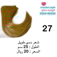 شعر دمى طويل 25 سم (27)