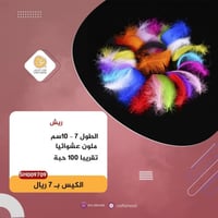ريش زينة ملون SH009709