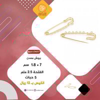 بروش ذهبي بفتحات B0117977