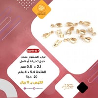 لوازم اكسسوار لون ذهبي B0099237