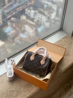 LOUIS VUITTON ماستر