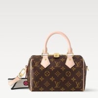 LOUIS VUITTON ماستر