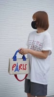 Paris bag