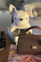 DOLCE & GABBANA دولتشي جابانا