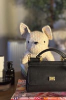 DOLCE & GABBANA دولتشي جابانا