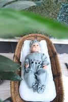 افرول رمضاني مواليد