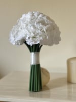 مسكة عروس - كرنيشن