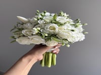 مسكة عروس - نانو