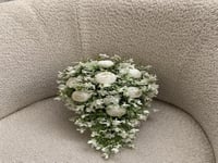 مسكة عروس - ميلاد